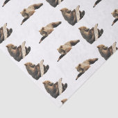 Papier Mousseline papier de tissus pour ours grizzli (Détail)