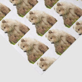 Papier Mousseline papier de tissus pour ours grizzli (Détail)