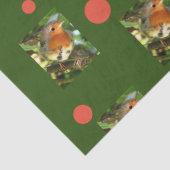 Papier Mousseline Papier de tissus Robin (Détail)