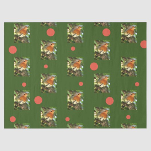 Papier Mousseline Papier de tissus Robin (Recto)