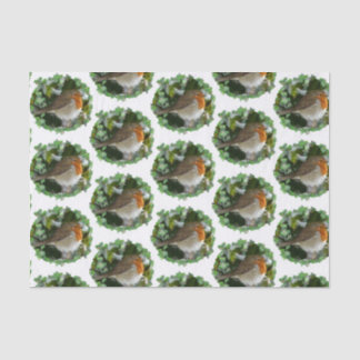 Papier Mousseline Papier de tissus Robins - 15 gsm (10 lb), blanc