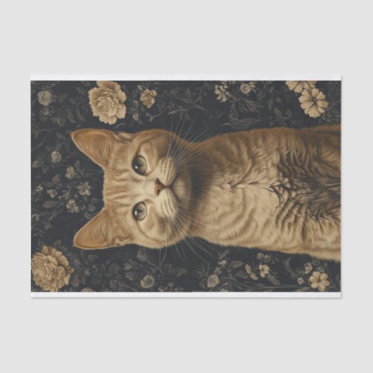 Papier Mousseline Papier Découpage Chat Ginger (Recto)