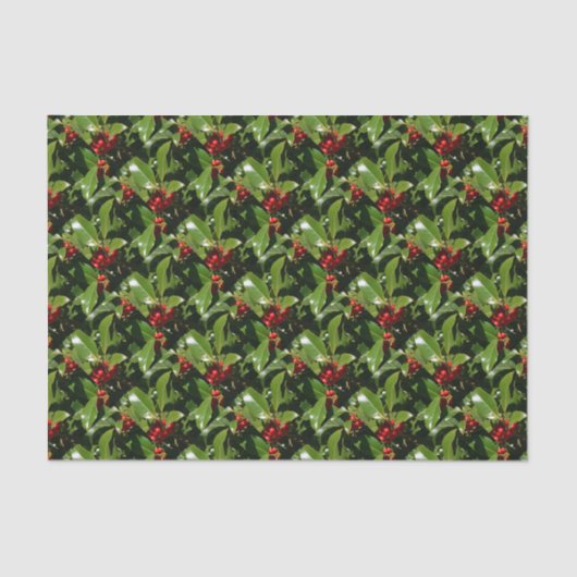 Papier Mousseline Papier d'emballage de Noël de baie de houx (Recto)