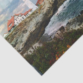 Papier Mousseline Papier d'enrobage de tissus de décantation de phar (Détail)