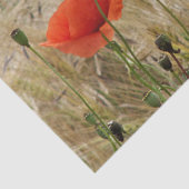 Papier Mousseline papier fleur d'été rouge (Détail)