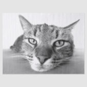 Papier Mousseline Papier mouchoir (Recto)