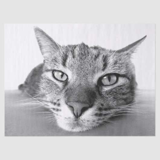 Papier Mousseline Papier mouchoir (Recto)