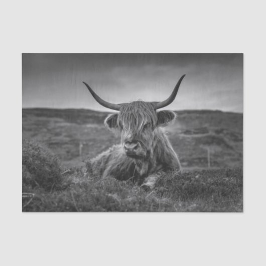 Papier Mousseline Papier mouchoir rustique Vache des Highlands Écoss (Recto)