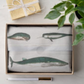 PAPIER MOUSSELINE PAPIER MOUSSELINE: OLIVER GOLDSMITH : BALEINE (Cadeau)