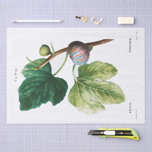 PAPIER MOUSSELINE PAPIER MOUSSELINE: PIERRE'JOSEPH REDOUTÉ : FIGUES (Artisanat)