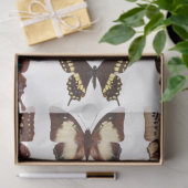 Papier Mousseline Papier papier de découpage de la collection papill (Cadeau)