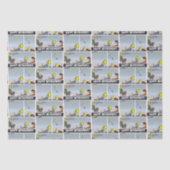 Papier Mousseline Papier papier papier pour avion (Recto)