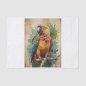 Papier Mousseline Papier pâtissier à papier (Recto)