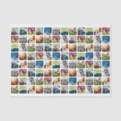 Papier Mousseline Papier Tissu 10 Photo Arrondi Blanc (Recto)