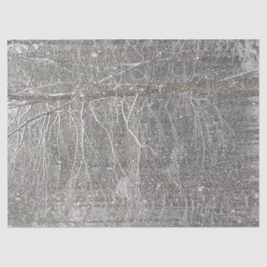 Papier Mousseline Papier Tissu À Neige (Recto)