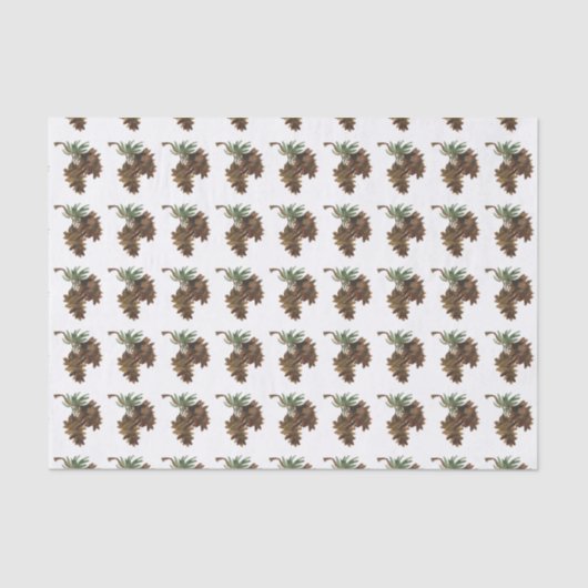 Papier Mousseline Papier Tissu Aquarelle Pine Cône (Recto)