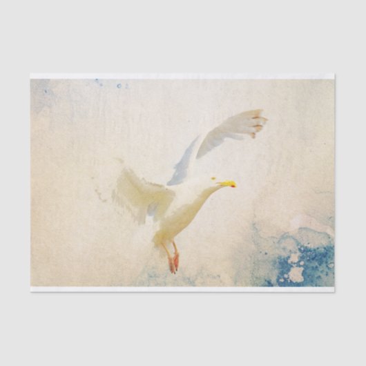 Papier Mousseline Papier Tissu Aquarelle Seagull (Recto)