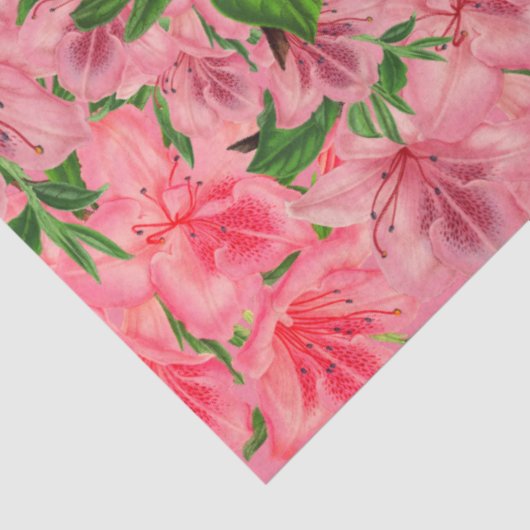 Papier Mousseline Papier Tissu Azalea Pretty Rose (Détail)