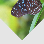 Papier Mousseline Papier Tissu Beurre Et Fleurs (Détail)