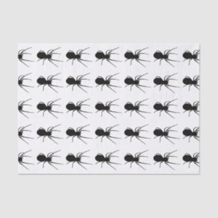 Papier Mousseline Papier Tissu Black Spider