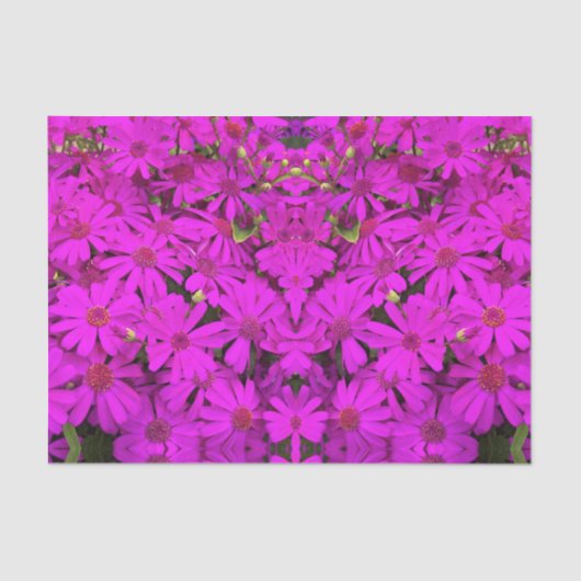 Papier Mousseline Papier Tissu Bright Rose/Purple Daisées (Recto)