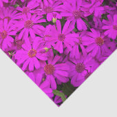 Papier Mousseline Papier Tissu Bright Rose/Purple Daisées (Détail)