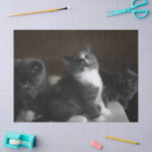 Papier Mousseline papier tissu chatte (Artisanat)