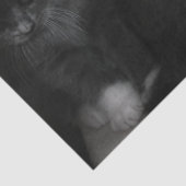 Papier Mousseline papier tissu chatte (Détail)