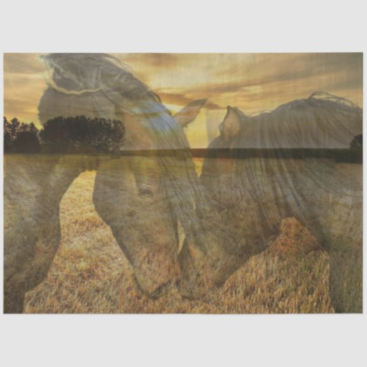 Papier Mousseline Papier Tissu Cheval (Recto)