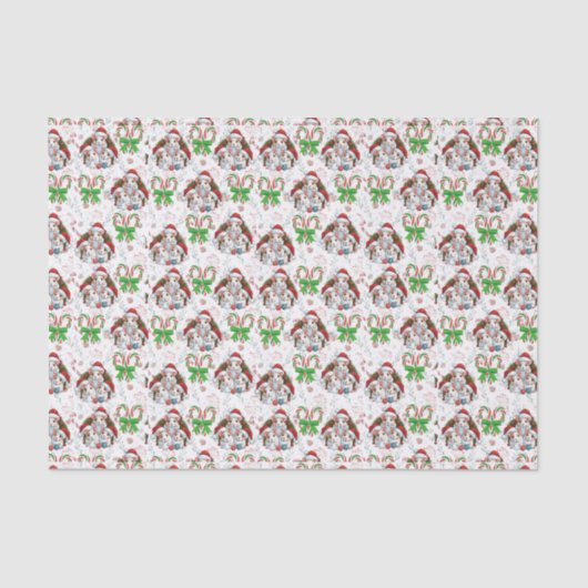Papier Mousseline Papier Tissu Chris-Mouse (Recto)