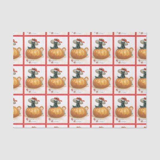 Papier Mousseline Papier Tissu citrouille Et Chat Noir (Recto)