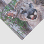 Papier Mousseline Papier Tissu Cougar Cub / Papier Découpage (Détail)