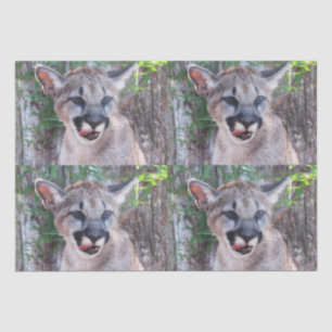 Papier Mousseline Papier Tissu Cougar Cub / Papier Découpage