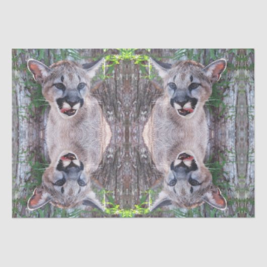 Papier Mousseline Papier Tissu Cougar Cub / Papier Découpage (Recto)