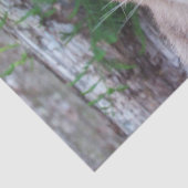 Papier Mousseline Papier Tissu Cougar Cub / Papier Découpage (Détail)