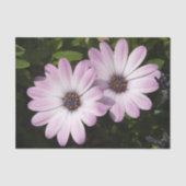 Papier Mousseline Papier Tissu Daisy (Recto)
