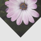 Papier Mousseline Papier Tissu Daisy (Détail)