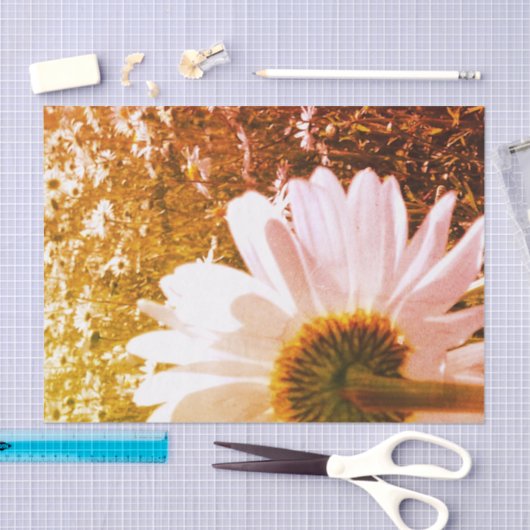 Papier Mousseline Papier Tissu Daisy Fields (Artisanat)