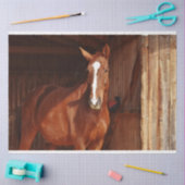 Papier Mousseline papier tissu de cheval de grange (Artisanat)