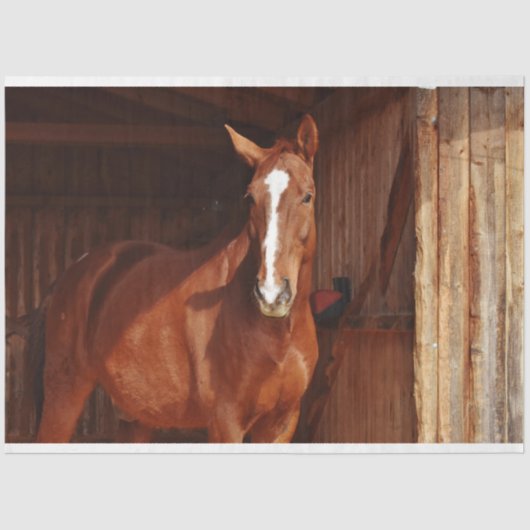 Papier Mousseline papier tissu de cheval de grange (Recto)