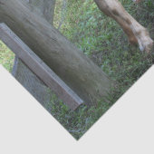 Papier Mousseline Papier Tissu De Chèvre Cute Spotted (Détail)