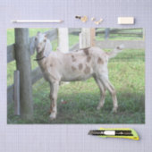 Papier Mousseline Papier Tissu De Chèvre Cute Spotted (Artisanat)