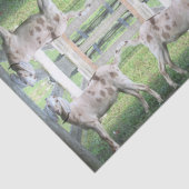 Papier Mousseline Papier Tissu De Chèvre Cute Spotted (Détail)