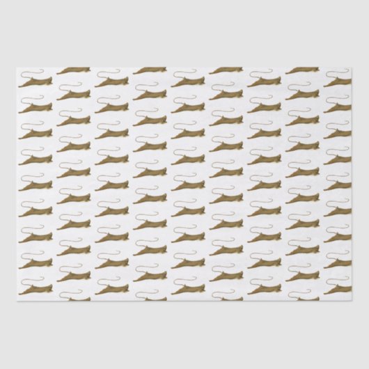 Papier Mousseline Papier Tissu de dessin vintage (Recto)