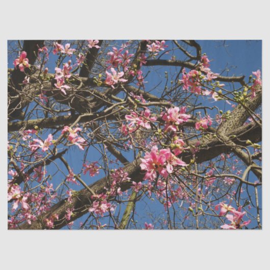 Papier Mousseline Papier Tissu De Fleur Arbre De Soie (Recto)