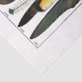 Papier Mousseline Papier Tissu De Plaque De Dictionnaire Français -  (Détail)