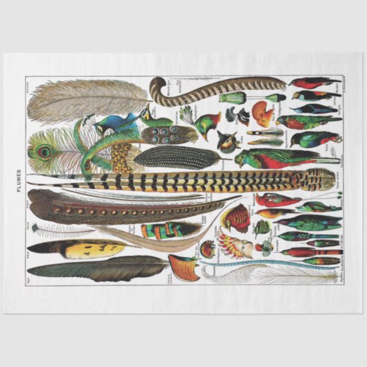 Papier Mousseline Papier Tissu De Plaque De Dictionnaire Français -  (Recto)