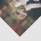 Papier Mousseline Papier Tissu De Singe Silencieux (Détail)