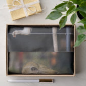 Papier Mousseline Papier Tissu De Singe Silencieux (Cadeau)