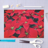Papier Mousseline Papier Tissu De Vacances - Poinsettias Rouge (Artisanat)